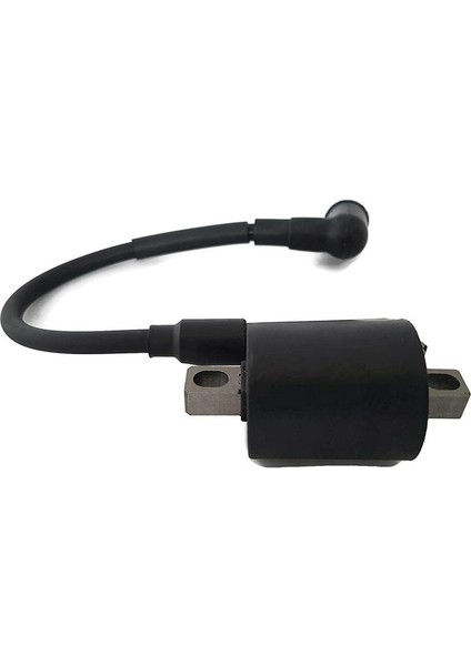 16064A1 Cıcrure Odabota Motor 4hp 5hp 2 Stroke Tohatsu 5hp Dışiş Motoru 16064A 1 (Yurt Dışından) modelleri