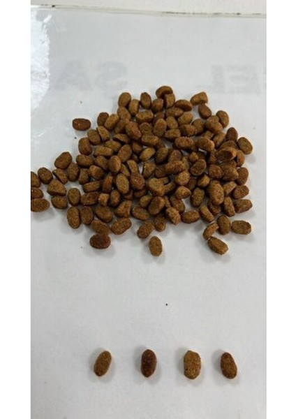 Yavru Kedi Maması Tavuklu 15 kg Tüy ve Deri Sağlığı İçin Özel Formül modelleri