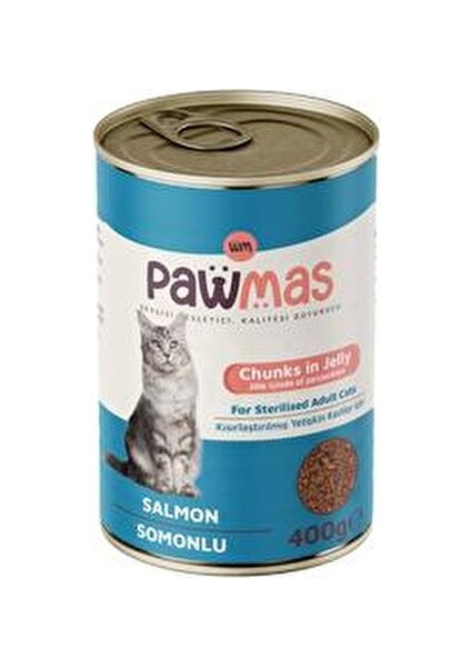 Somonlu Kısırlaştırılmış Yetişkin Kedi Konservesi 400 gr Ekonomik Mama Segmenti fiyatları