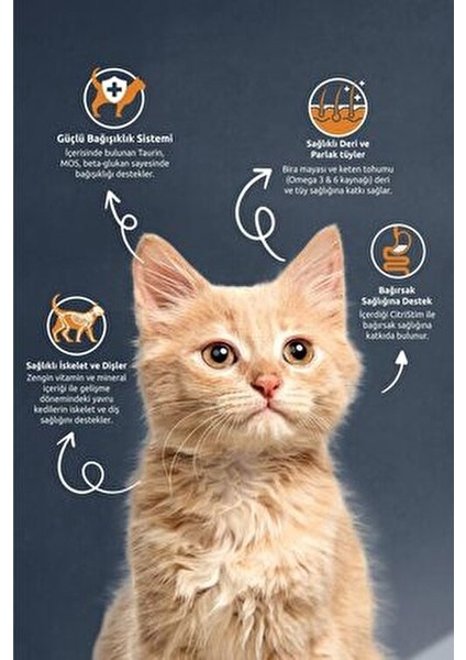 Tavuklu Yavru Kedi Maması 15 kg Yüksek Kalite Besleyici İçerik ile İstiridye Tatlı fırsatları