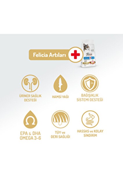 12 kg Yetişkin Somonlu Kedi Maması Hipoalerjenik ve Az Tahıllı Lezzetli Formül