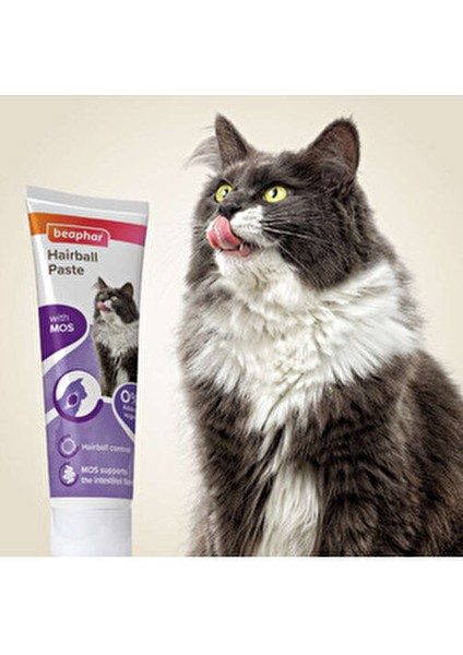 Duo Kedi Malt Macunu 100 gr Tüy Yumağı Önleyici Lezzetli Enerji Desteği indirimleri