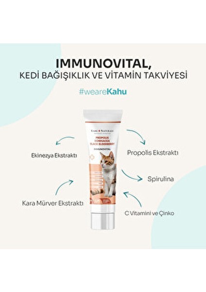 100 ml Kedi İçin Vitamin Takviyesi Doğal İçeriklerle Enerji ve Genel Sağlık Desteği
