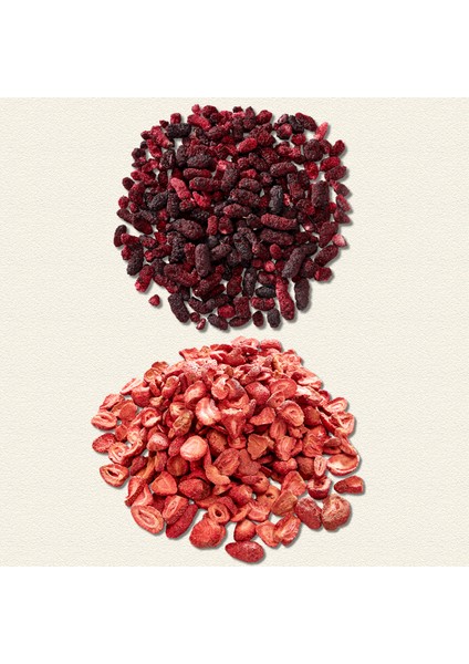 Kuru Meyve Cipsi 2'li Mix Paket – Dondurularak Kurutulmuş Karadut Ve Çilek - Kuru Meyve modelleri