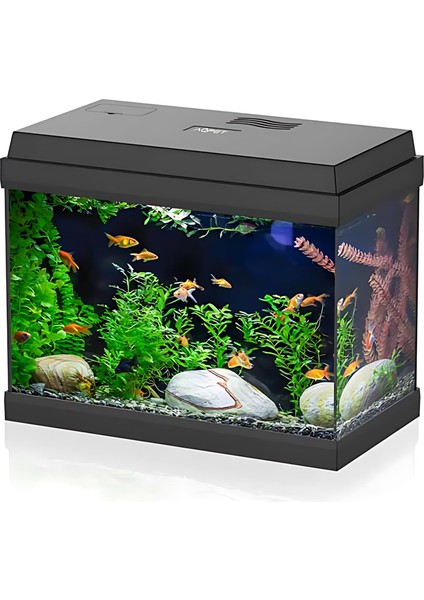 Sımply LED 30 Akvaryum 30LT Siyah