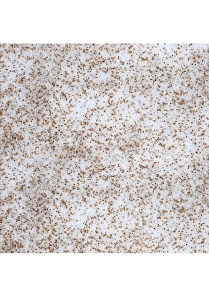 Artemia Mix Balık Yemi 18 gr Yüksek Kalite Akvaryum Balıkları İçin Beslenme Türü modelleri