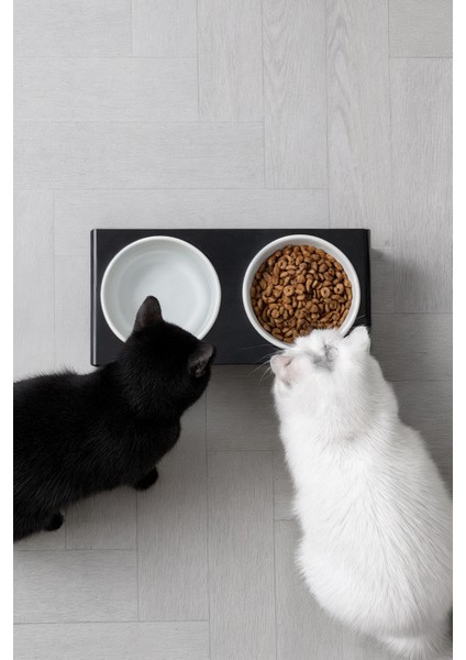 2'li Siyah Pleksi Kedi ve Köpek Seramik Mama & Su Kabı Paspas Hediye