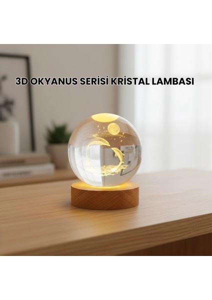 3D Yunus Desenli Kristal Küre Ahşap Tabanlı Işıklı Dekor Objesi