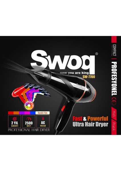 Güçlü 2500W Profesyonel Fön Makinesi, Hızlı ve Parlak Sonuçlar