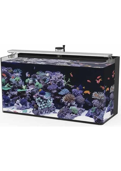 Sea Tank 60 Tuzlu Su Akvaryumu 50LT