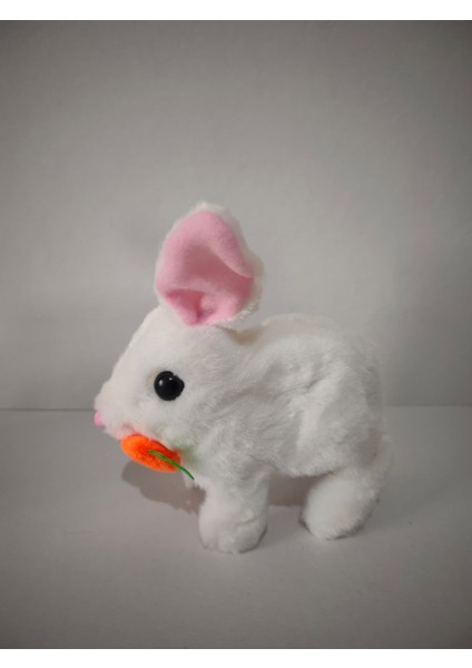 Zıplayan Kulakları Işıklı Sesli Tavşan, Pilli Hediyelik Peluş Oyuncak 18X17