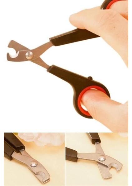 ® Evcil Hayvan Tırnak Makası ve Törpü Seti Manikür Pedikür Pati Bakım Aleti Kaymaz Sap