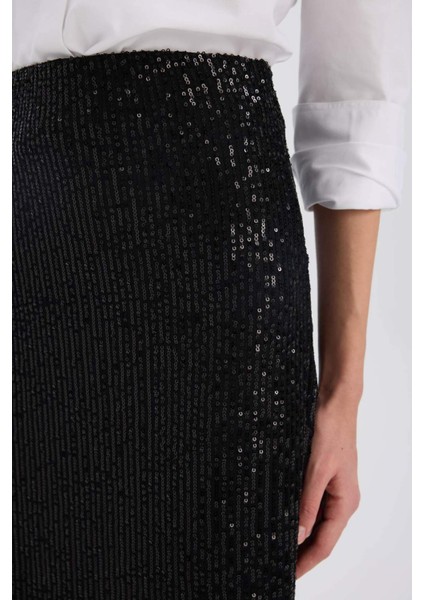 A Kesim Normal Bel Payetli Kumaş Maxi Etek E2440AX24WN indirimleri