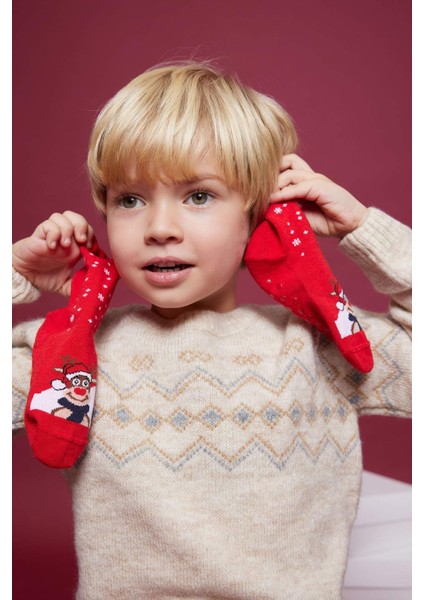 Erkek Bebek Yılbaşı Temalı Yeni Yıl Baskılı Kaydırmaz Taban 3'lü Pamuklu Uzun Çorap B6307A5NS fiyatları