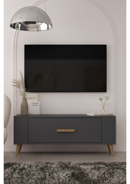 TV1338DD RETRO-128 Tv Sehpası Antrasit-Safirmeşe fiyatları