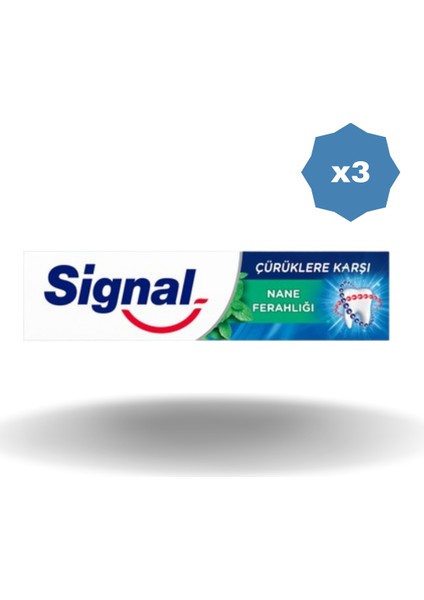 Çürüklere Karşı Nane Ferahlığı Diş Macunu 100 ml - (3 Adet)