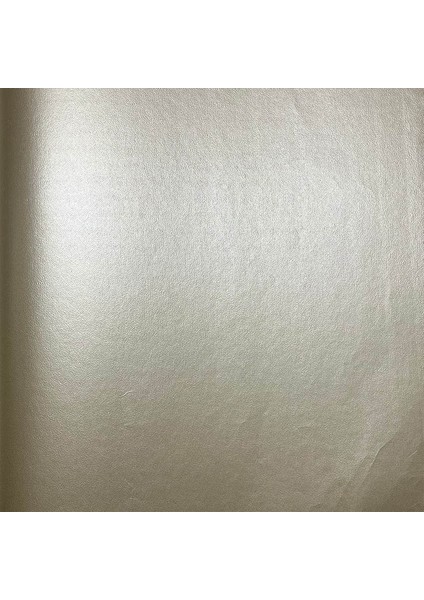 Parlak Bej Duvar Kağıdı 113002