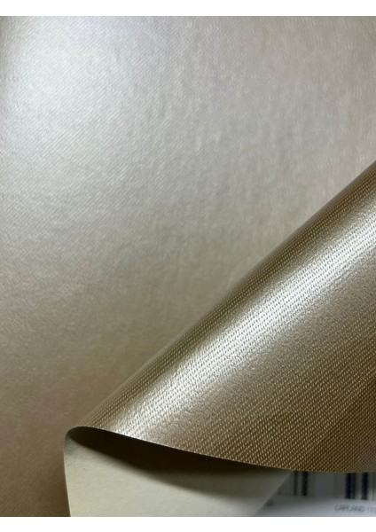 Parlak Bej Duvar Kağıdı 113002 modelleri