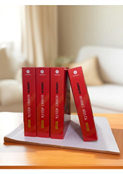 İlköğretim Resimli Sözlük Türkçe-İngilizce ve İngilizce-Türkçe 488 Sayfa