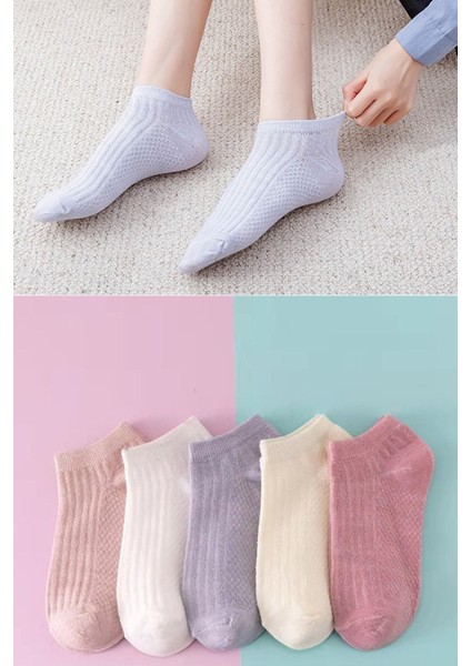 5’li Yazlık Renkli Çorap