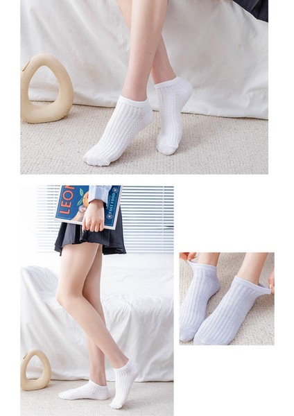 5’li Yazlık Renkli Çorap fiyatları