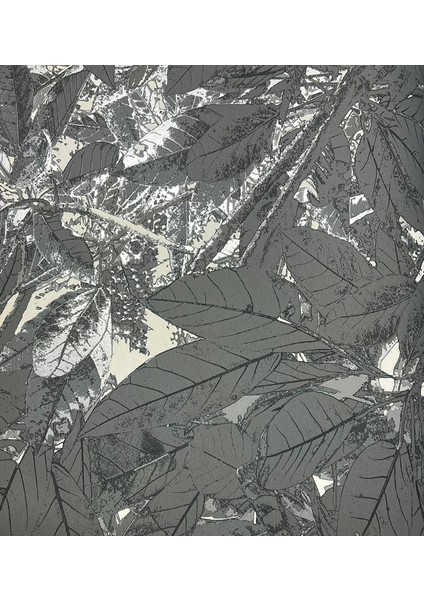 Siyah Yaprak Tropik Duvar Kağıdı 113009