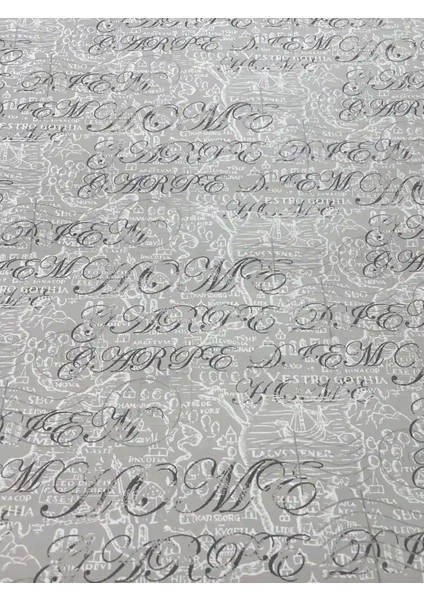 Gri Klasik Yazılı Duvar Kağıdı 113019 fiyatları