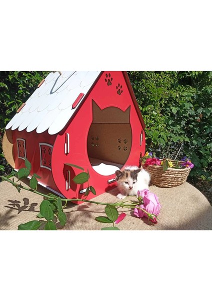 Ahşap Kedi Evi Xl Büyük Boy