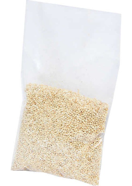Kinoa Tohumu 80 gr Paket modelleri