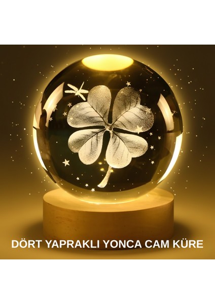 Yonca Bitki Figürlü LED Işıklı Cam Küre USB Ahşap Standlı Gece Lambası