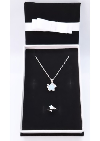 Kadife Kutulu Yıldız Figürlü Çelik Kolye Yüzük Set fırsatları