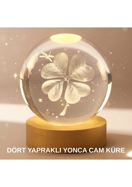 Bitki Temalı LED Işıklı Cam Küre Ahşap Standlı Modern Gece Lambası