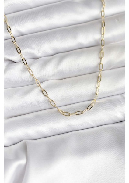 14K Gold Renk Kaplama Ataç Zincir Model CM Kadın Kolye - TJ-BKO10744