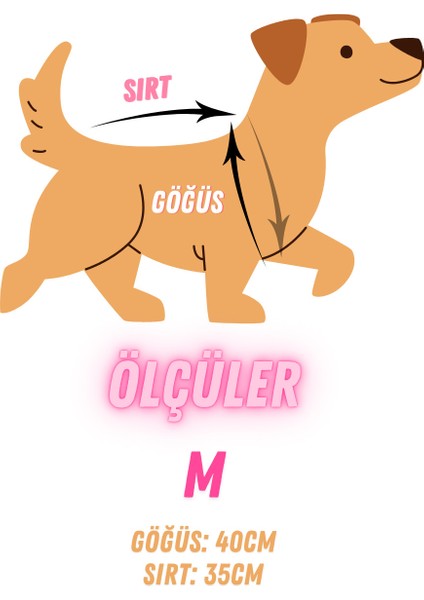 Kedi ve Köpek Için Turkuaz Unicorn Tulum