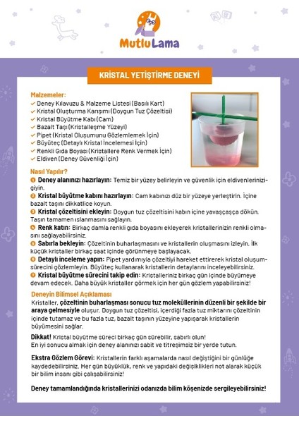 Yaratıcı Kaşifler 2’li Set | 7–12 Yaş Bilim & Sanat Kutuları – Mutlulama fiyatları