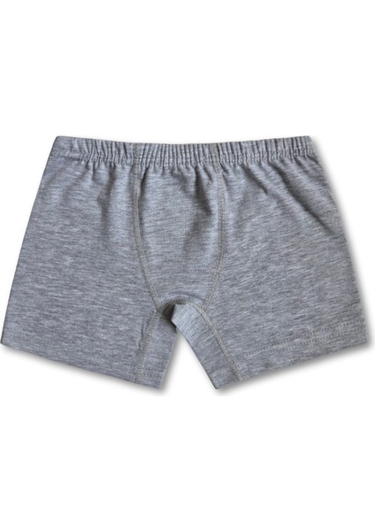 %95 Pamuklu Erkek Çocuk Boxer Külot Iç Çamaşırı 6lı Set modelleri