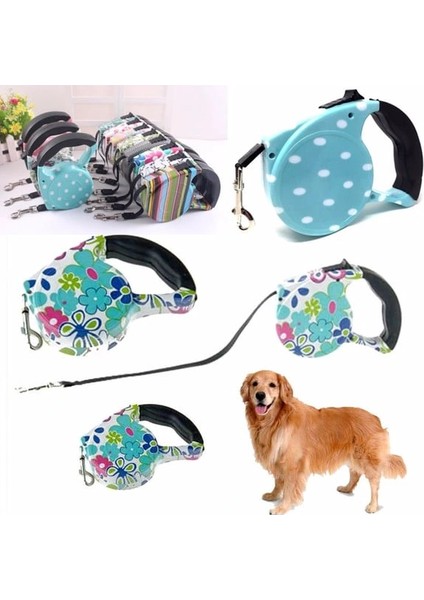 Desenli Köpek Tasması - Pup Style ( Lisinya )