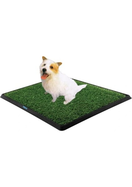 Köpek Tuvalet Eğitim Seti ( Lisinya )