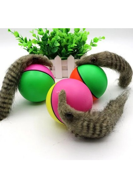 Hareketli Rakun Kedi Köpek Oyuncak ( Lisinya )