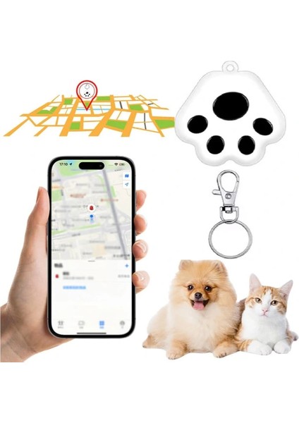 Mobil Uygulamalı Evcil Hayvan Takip Cihazı ( Lisinya ) modelleri