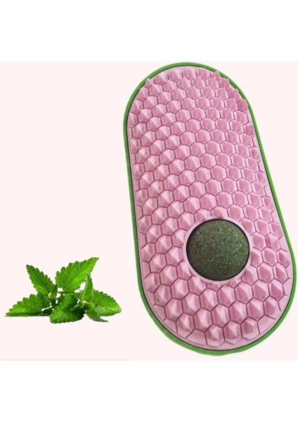 Silikon Kaşıyıcılı Kedi Otu ( Lisinya )