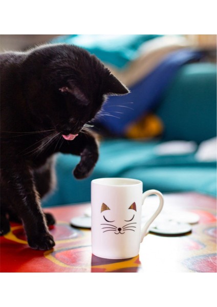 Kupa Bardak (30CL) | Schluck - White Cat fırsatları