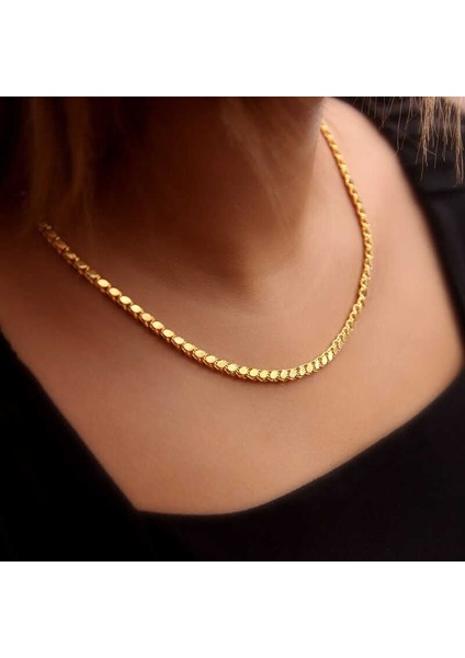 Gümüş Gold Pullu Arpa Zincir modelleri