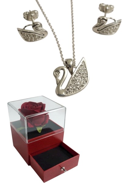 Çekmeceli Kutuda 925 Ayar Gümüş Kuğu Set Kadın