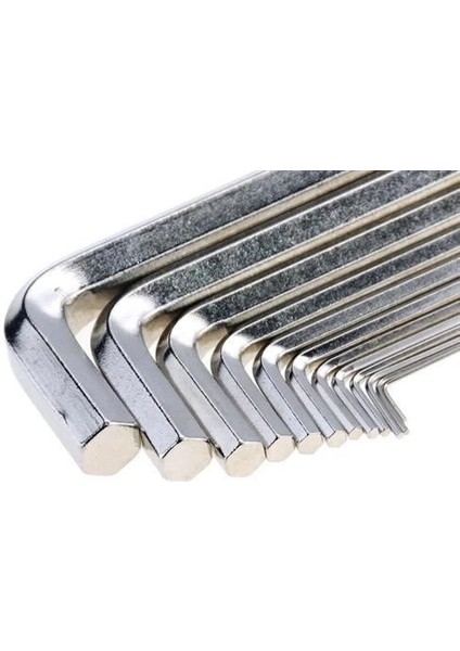 10 Parça Çelik Alyan Seti Kısa Düz Köşe Alyan Anahtar Takımı ( Lisinya )