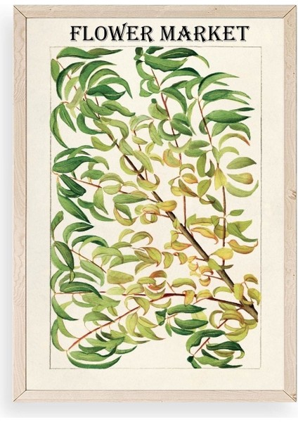 Grancica Breskve Ahşap Çerçeveli Tablo