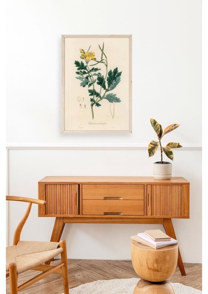 Çiçek Ahşap Çerçeveli Tablo modelleri