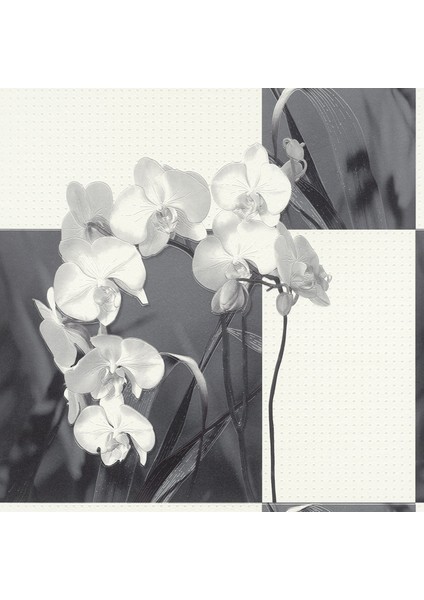 Orkideli Beyaz Gri Desen Duvar Kağıdı 53011 indirimleri