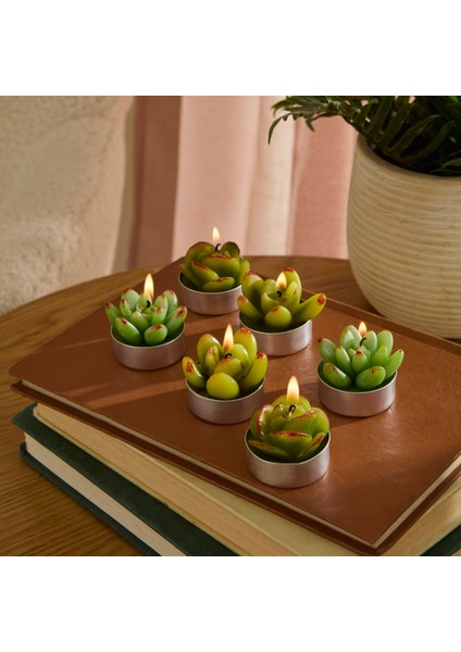 Sukulent 6'lı Tealight Mum