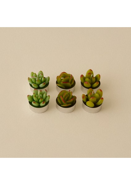 Sukulent 6'lı Tealight Mum fiyatları